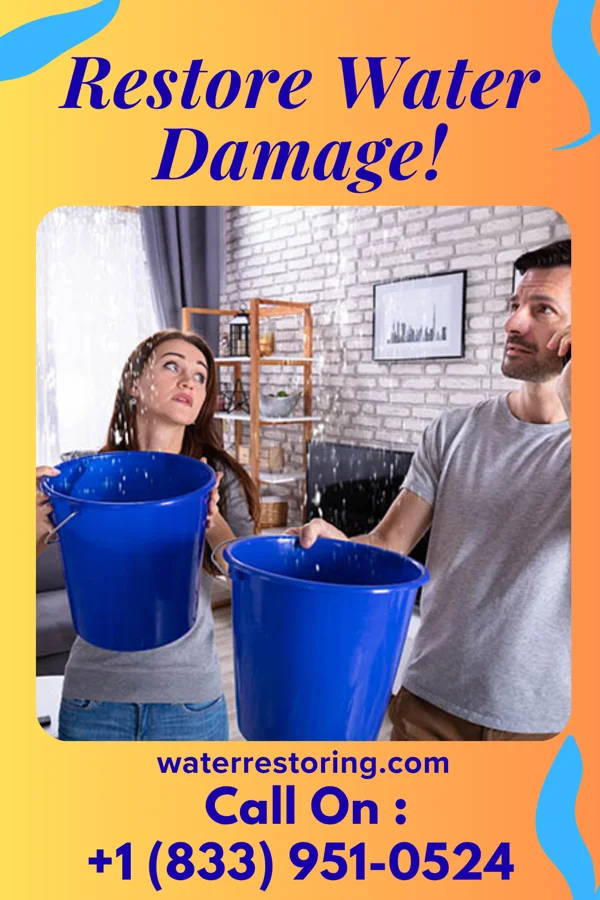 water restoration Pro Mitigation Savannah