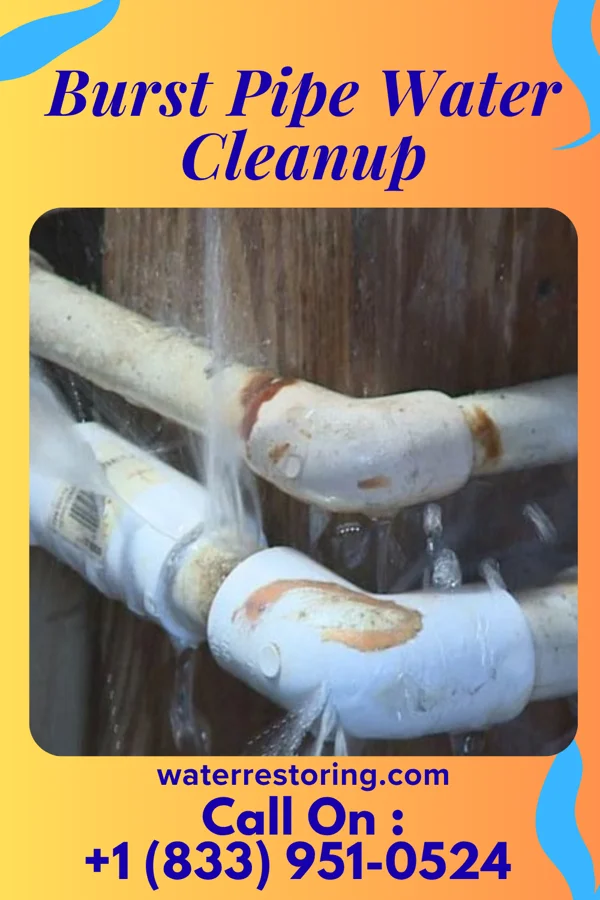 Burst Pipe Water Cleanup in Savannah, TN