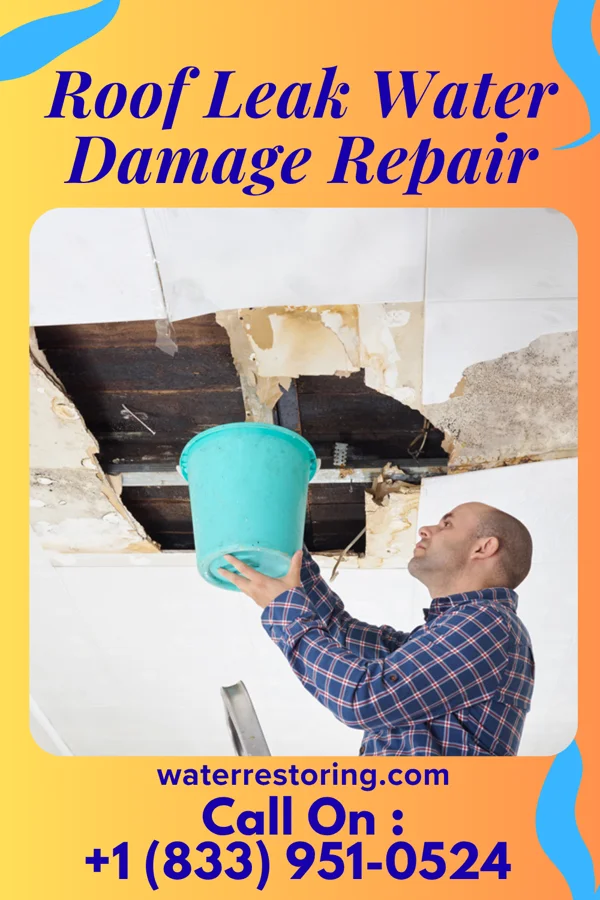 Roof Leak Water Damage Repair in Savannah, TN