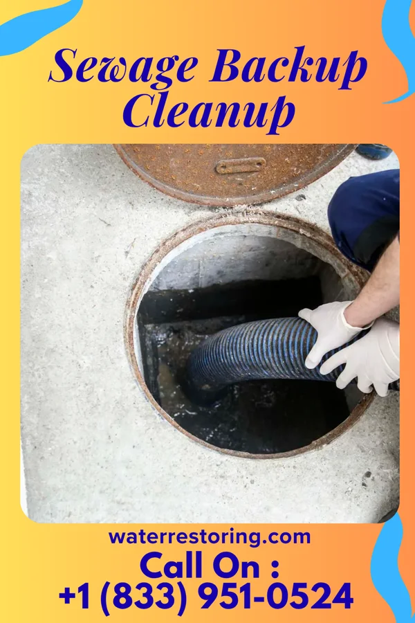Sewage Backup Cleanup in Savannah, TN