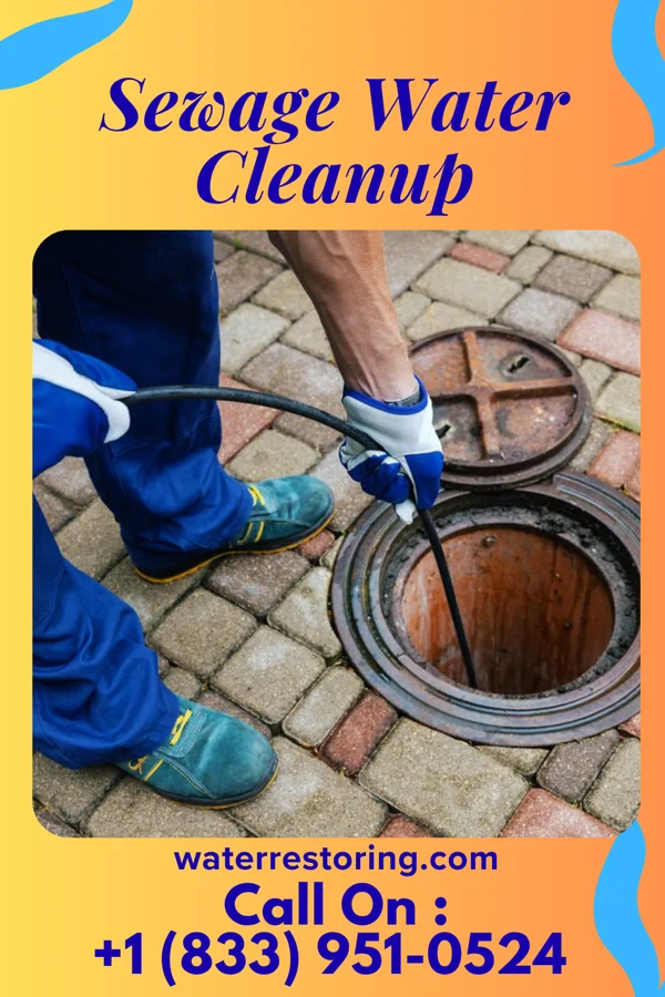 Sewage Water Cleanup in Savannah, TN