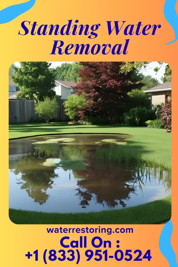Standing Water Removal in Savannah, TN